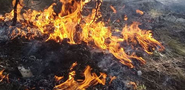 Marmaris’te ormanda ateş yaktığı öne sürülen zanlı yakalandı!